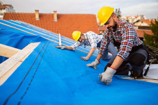 Roof Gutter Cleaning in Brentwood, MO